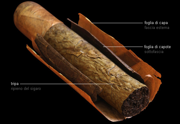 composizione sigaro fatto a mano